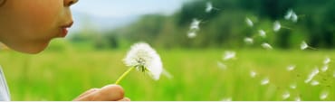 Allergies