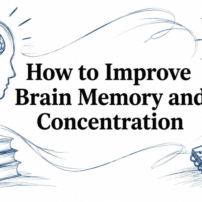 How to Improve Brain Memory and Concentration
