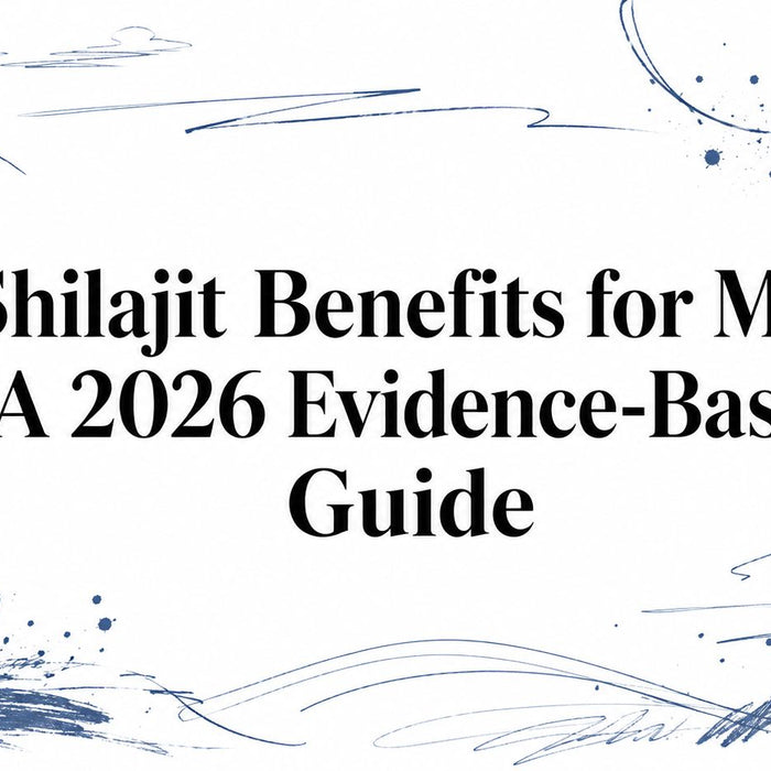 Shilajit Benefits for Men: A 2026 Evidence-Based Guide