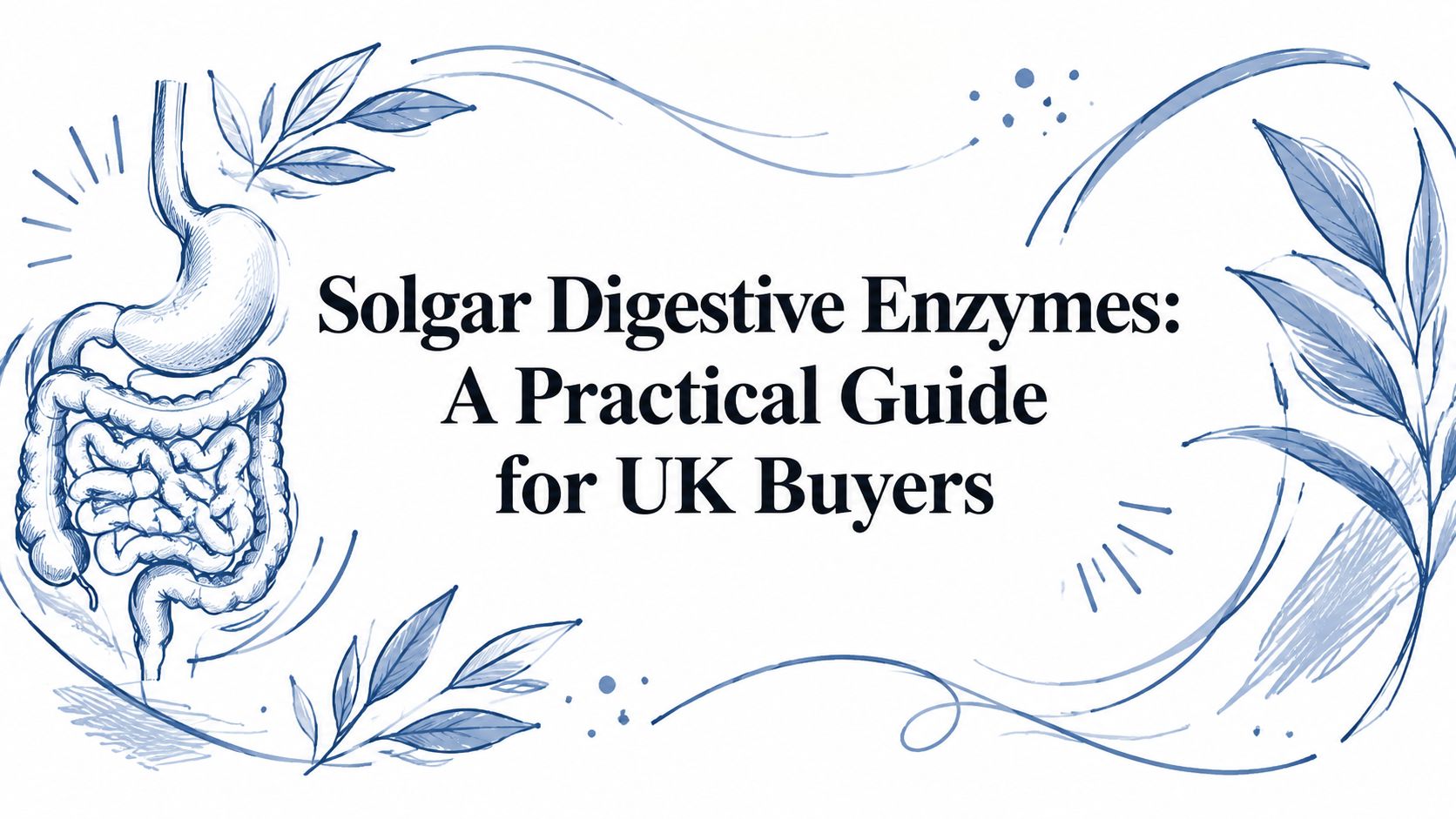 Solgar Digestive Enzymes: A Practical Guide for UK Buyers