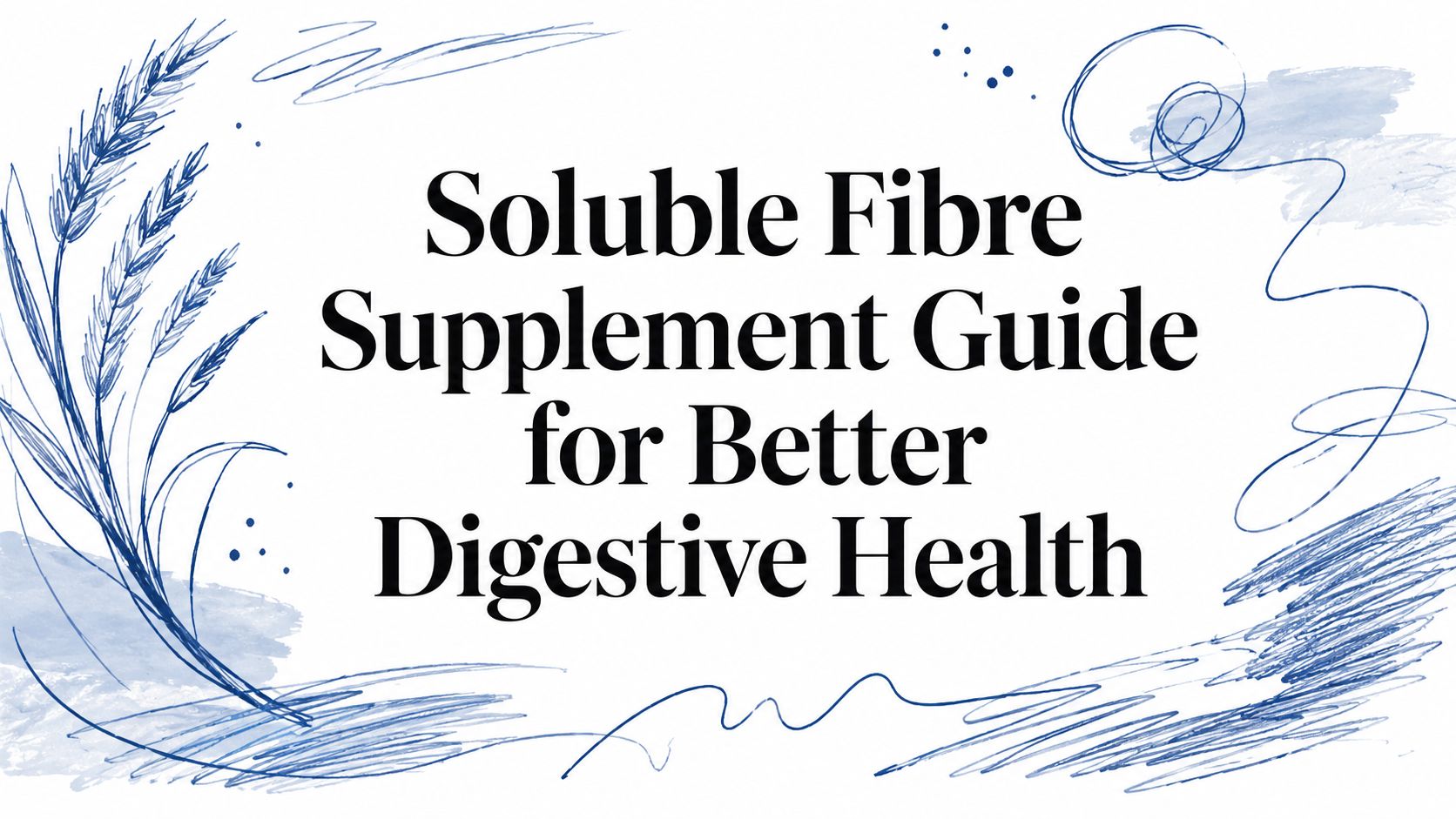 Soluble Fibre Supplement Guide for Better Digestive Health