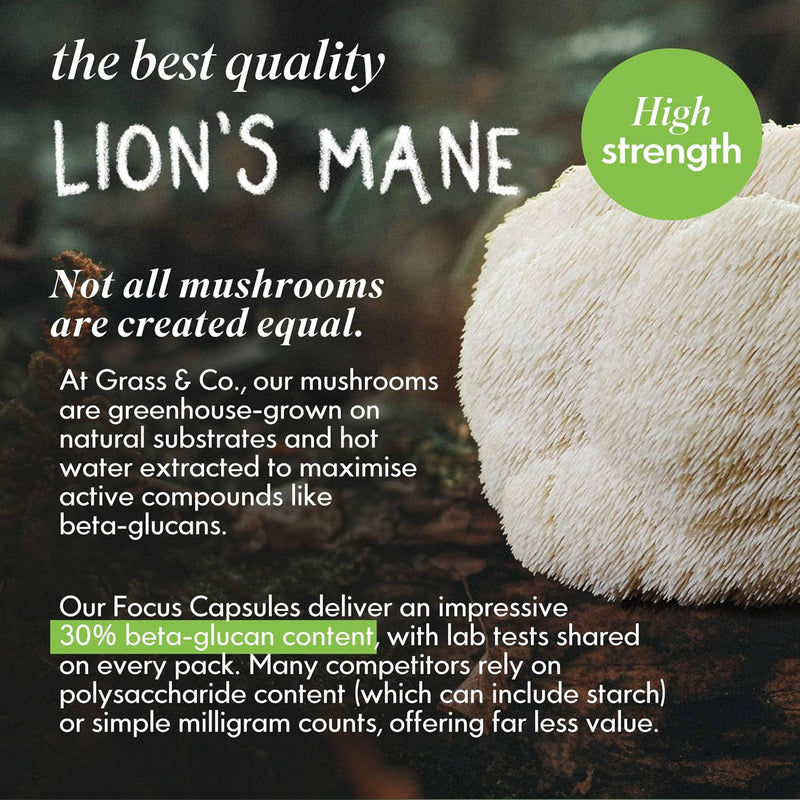 Grass & Co. Lions Mane Mushroom with Ginseng + Omega 3, Vitamin D + B12 - 60 Capsules