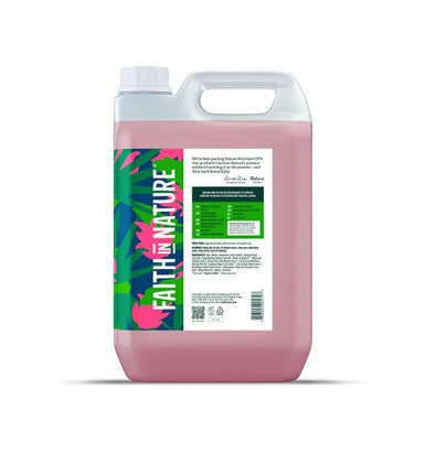 Faith in Nature Dragon Fruit Hand Wash - 5L