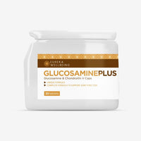 GlucosaminePlus – Glucosamine & Chondroitin V Caps