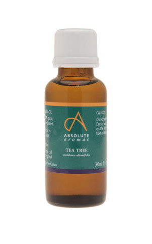 Absolute Aromas Tea Tree Oil - 30ml