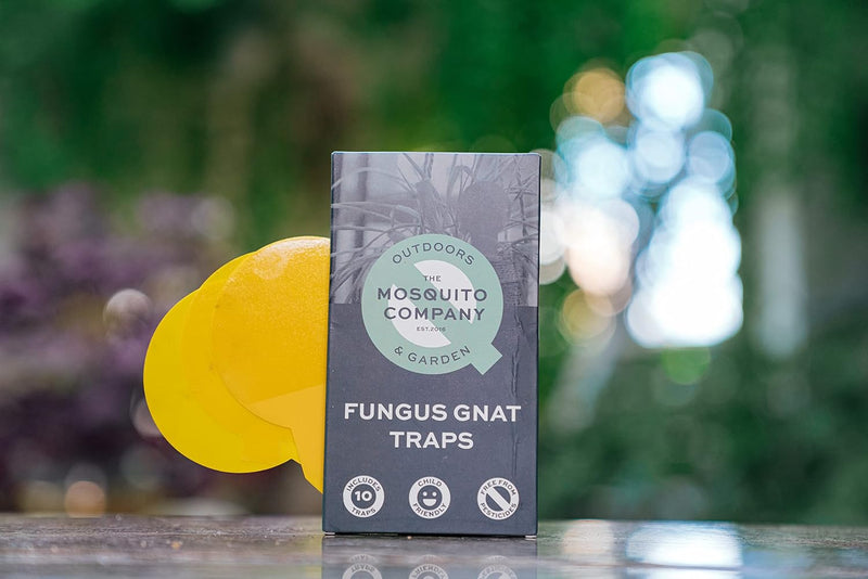 The Mosquito Company Fungus Gnat Sticky Traps - 10 Traps