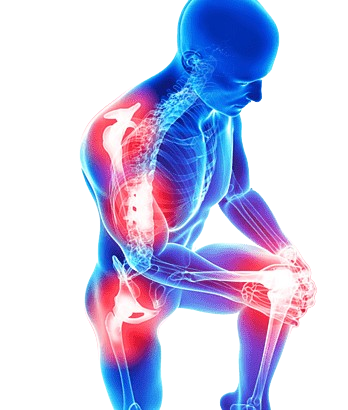 BoneMax Glucosamine & Chondroitin Supplement – Joint & Cartilage Support - 120 Capsule