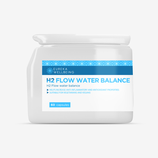 H2 Flow Water Balance